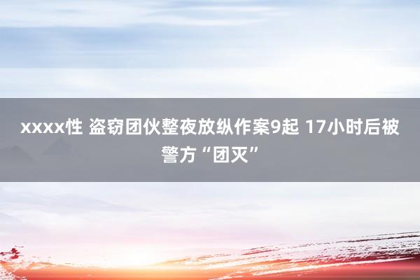 xxxx性 盗窃团伙整夜放纵作案9起 17小时后被警方“团灭”