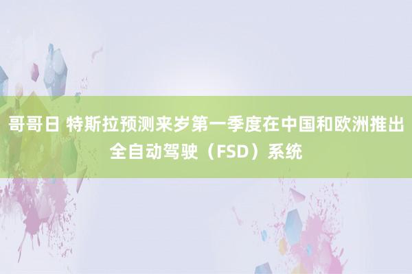 哥哥日 特斯拉预测来岁第一季度在中国和欧洲推出全自动驾驶（FSD）系统