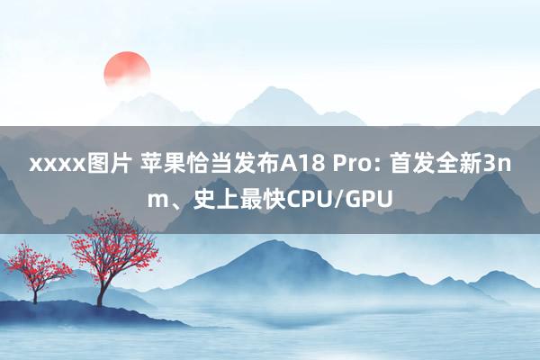 xxxx图片 苹果恰当发布A18 Pro: 首发全新3nm、史上最快CPU/GPU