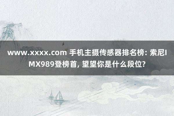 www.xxxx.com 手机主摄传感器排名榜: 索尼IMX989登榜首， 望望你是什么段位?