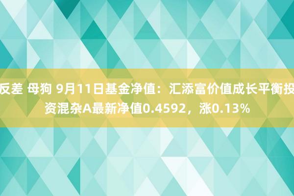 反差 母狗 9月11日基金净值：汇添富价值成长平衡投资混杂A最新净值0.4592，涨0.13%