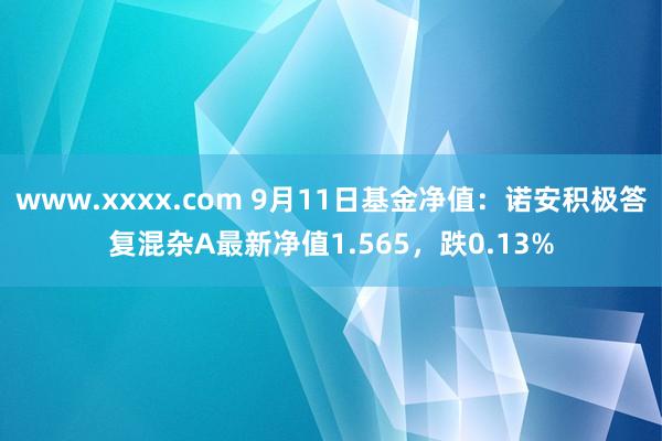 www.xxxx.com 9月11日基金净值：诺安积极答复混杂A最新净值1.565，跌0.13%