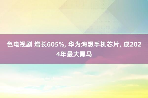 色电视剧 增长605%， 华为海想手机芯片， 成2024年最大黑马