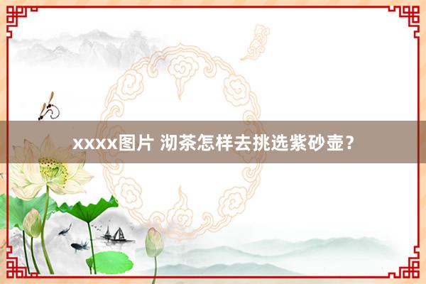 xxxx图片 沏茶怎样去挑选紫砂壶？