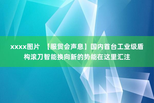 xxxx图片  【服贸会声息】国内首台工业级盾构滚刀智能换向新的势能在这里汇注