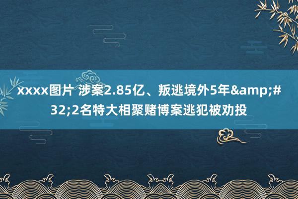 xxxx图片 涉案2.85亿、叛逃境外5年&#32;2名特大相聚赌博案逃犯被劝投