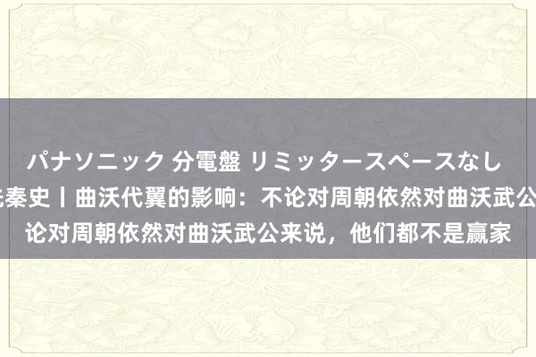 パナソニック 分電盤 リミッタースペースなし 露出・半埋込両用形 先秦史丨曲沃代翼的影响：不论对周朝依然对曲沃武公来说，他们都不是赢家