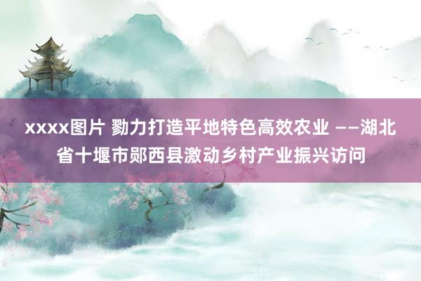 xxxx图片 勠力打造平地特色高效农业 ——湖北省十堰市郧西县激动乡村产业振兴访问