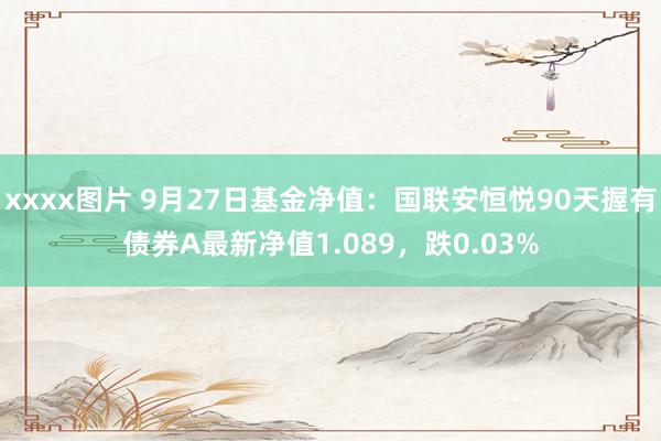 xxxx图片 9月27日基金净值：国联安恒悦90天握有债券A最新净值1.089，跌0.03%