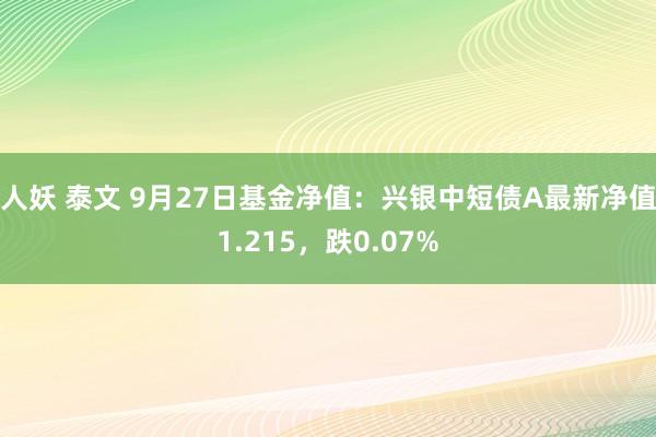 人妖 泰文 9月27日基金净值：兴银中短债A最新净值1.215，跌0.07%