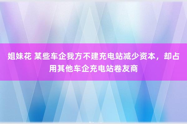 姐妹花 某些车企我方不建充电站减少资本，却占用其他车企充电站卷友商