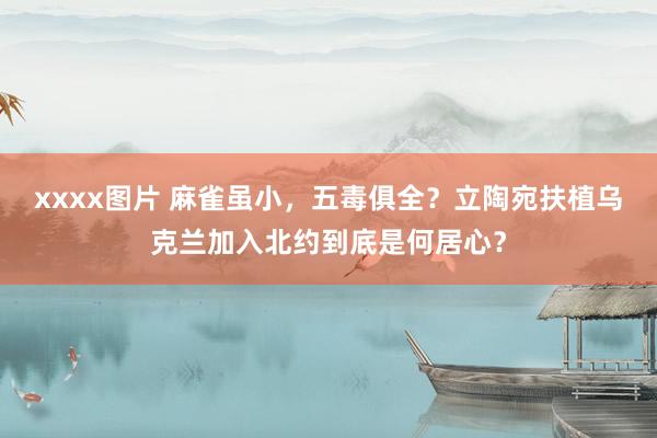 xxxx图片 麻雀虽小，五毒俱全？立陶宛扶植乌克兰加入北约到底是何居心？