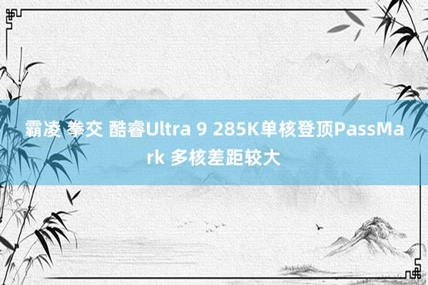 霸凌 拳交 酷睿Ultra 9 285K单核登顶PassMark 多核差距较大