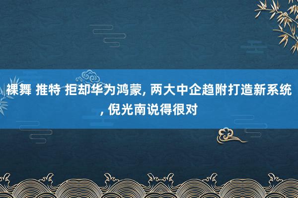 裸舞 推特 拒却华为鸿蒙， 两大中企趋附打造新系统， 倪光南说得很对