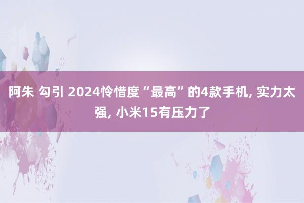 阿朱 勾引 2024怜惜度“最高”的4款手机， 实力太强， 小米15有压力了