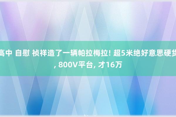 高中 自慰 祯祥造了一辆帕拉梅拉! 超5米绝好意思硬货， 800V平台， 才16万