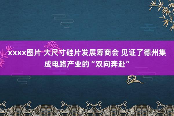 xxxx图片 大尺寸硅片发展筹商会 见证了德州集成电路产业的“双向奔赴”