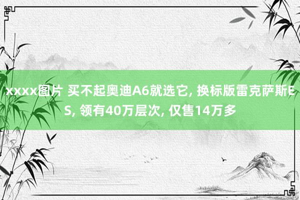 xxxx图片 买不起奥迪A6就选它， 换标版雷克萨斯ES， 领有40万层次， 仅售14万多