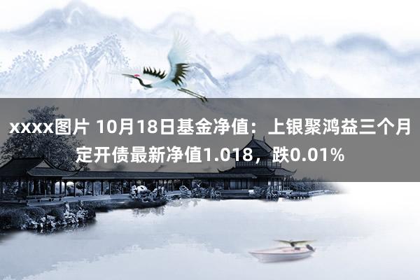 xxxx图片 10月18日基金净值：上银聚鸿益三个月定开债最新净值1.018，跌0.01%