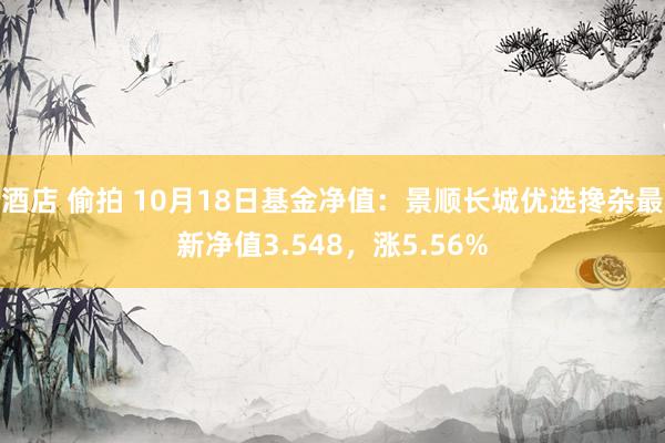 酒店 偷拍 10月18日基金净值：景顺长城优选搀杂最新净值3.548，涨5.56%