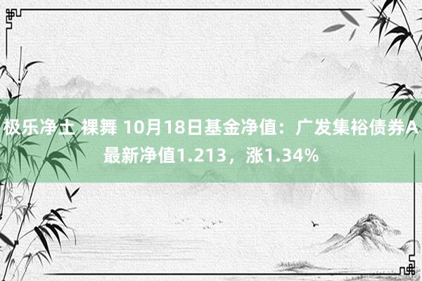 极乐净土 裸舞 10月18日基金净值：广发集裕债券A最新净值1.213，涨1.34%