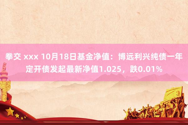 拳交 xxx 10月18日基金净值：博远利兴纯债一年定开债发起最新净值1.025，跌0.01%