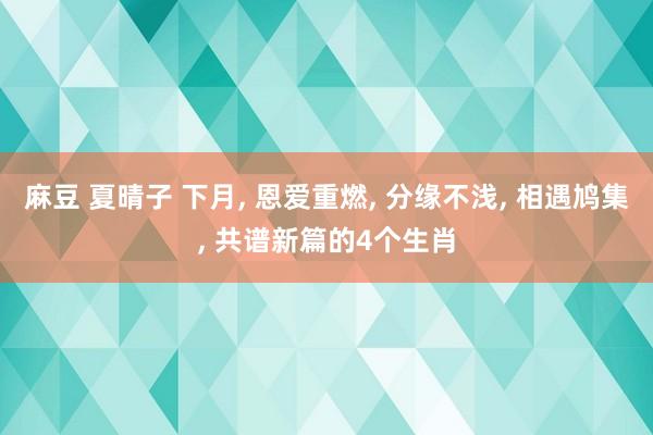 麻豆 夏晴子 下月， 恩爱重燃， 分缘不浅， 相遇鸠集， 共谱新篇的4个生肖