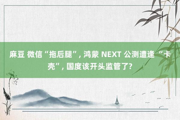 麻豆 微信“拖后腿”， 鸿蒙 NEXT 公测遭逢 “卡壳”， 国度该开头监管了?