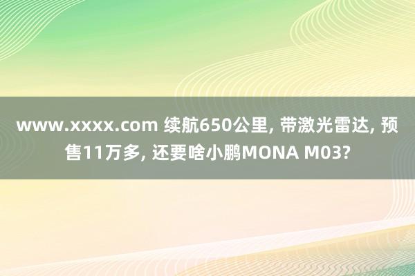 www.xxxx.com 续航650公里， 带激光雷达， 预售11万多， 还要啥小鹏MONA M03?