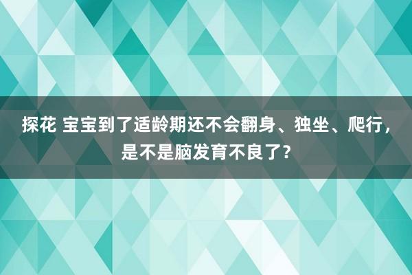 探花 宝宝到了适龄期还不会翻身、独坐、爬行，是不是脑发育不良了？