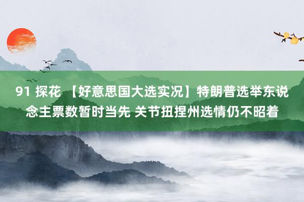 91 探花 【好意思国大选实况】特朗普选举东说念主票数暂时当先 关节扭捏州选情仍不昭着