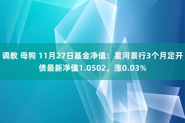 调教 母狗 11月27日基金净值：星河景行3个月定开债最新净值1.0502，涨0.03%