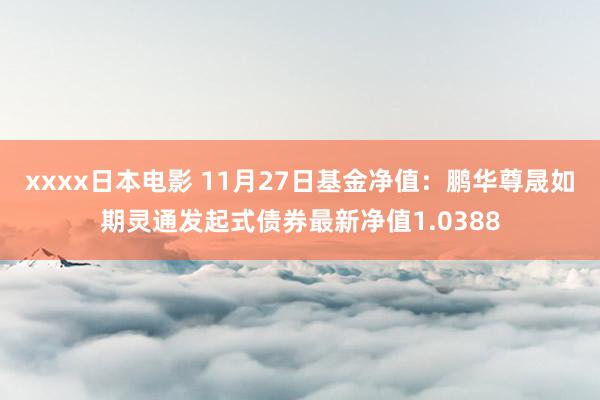 xxxx日本电影 11月27日基金净值：鹏华尊晟如期灵通发起式债券最新净值1.0388