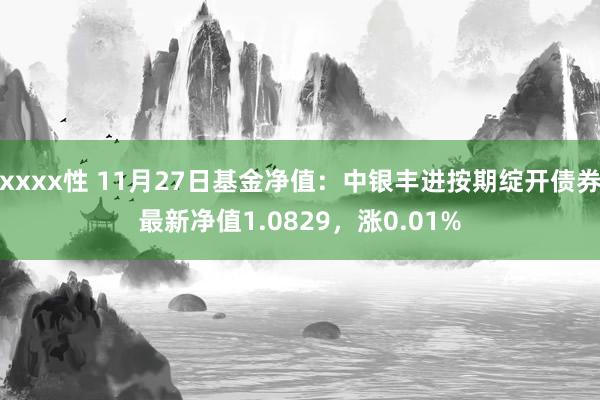 xxxx性 11月27日基金净值：中银丰进按期绽开债券最新净值1.0829，涨0.01%