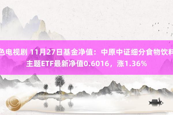 色电视剧 11月27日基金净值：中原中证细分食物饮料主题ETF最新净值0.6016，涨1.36%