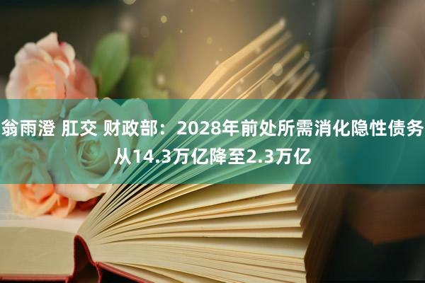 翁雨澄 肛交 财政部：2028年前处所需消化隐性债务从14.3万亿降至2.3万亿