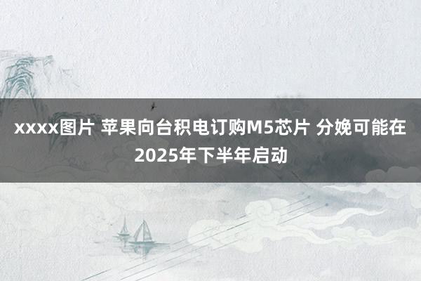 xxxx图片 苹果向台积电订购M5芯片 分娩可能在2025年下半年启动