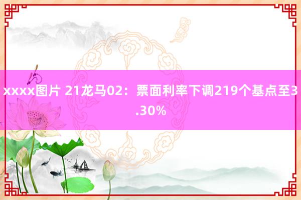 xxxx图片 21龙马02：票面利率下调219个基点至3.30%