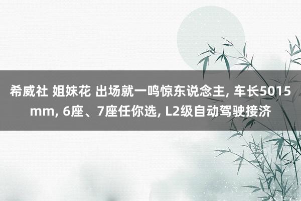 希威社 姐妹花 出场就一鸣惊东说念主， 车长5015mm， 6座、7座任你选， L2级自动驾驶接济