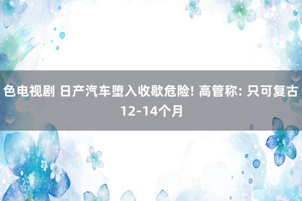 色电视剧 日产汽车堕入收歇危险! 高管称: 只可复古12-14个月