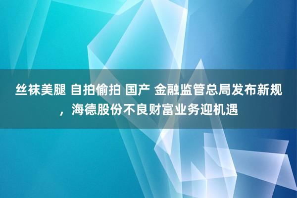 丝袜美腿 自拍偷拍 国产 金融监管总局发布新规，海德股份不良财富业务迎机遇