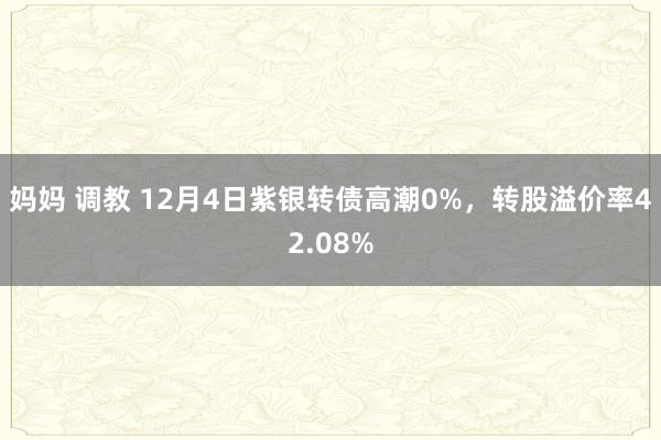 妈妈 调教 12月4日紫银转债高潮0%，转股溢价率42.08%