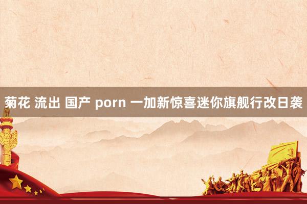 菊花 流出 国产 porn 一加新惊喜迷你旗舰行改日袭