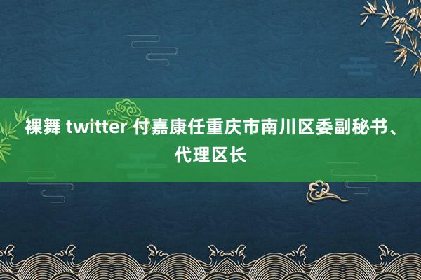 裸舞 twitter 付嘉康任重庆市南川区委副秘书、代理区长