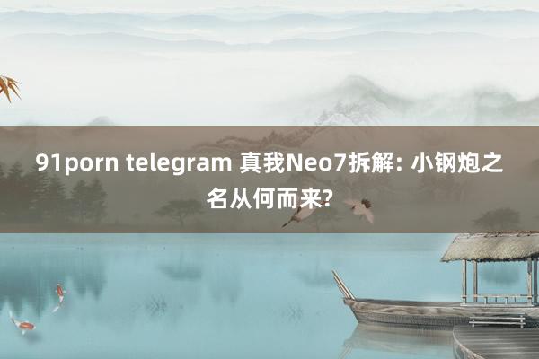 91porn telegram 真我Neo7拆解: 小钢炮之名从何而来?