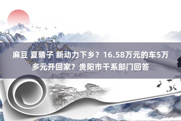 麻豆 夏晴子 新动力下乡？16.58万元的车5万多元开回家？贵阳市干系部门回答