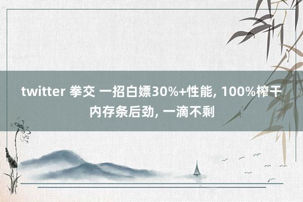 twitter 拳交 一招白嫖30%+性能， 100%榨干内存条后劲， 一滴不剩