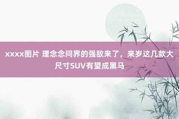 xxxx图片 理念念问界的强敌来了，来岁这几款大尺寸SUV有望成黑马