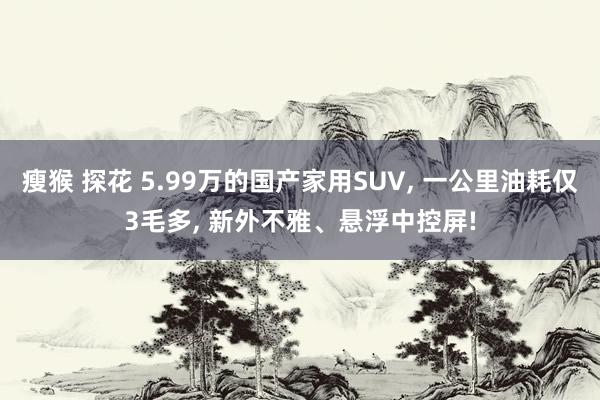 瘦猴 探花 5.99万的国产家用SUV， 一公里油耗仅3毛多， 新外不雅、悬浮中控屏!