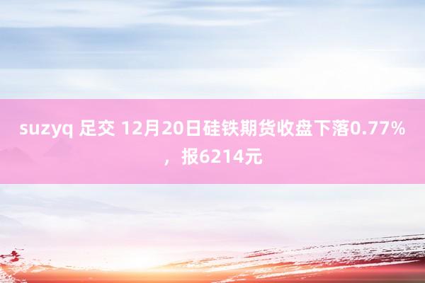 suzyq 足交 12月20日硅铁期货收盘下落0.77%，报6214元